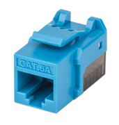 [IC-CO-772334] LM-Jack Intellinet CAT 6a de impacto (keone)