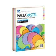 [COP-PAP-HITEC] Papel Facia Pastel carta mix de 10 colores 75 gr